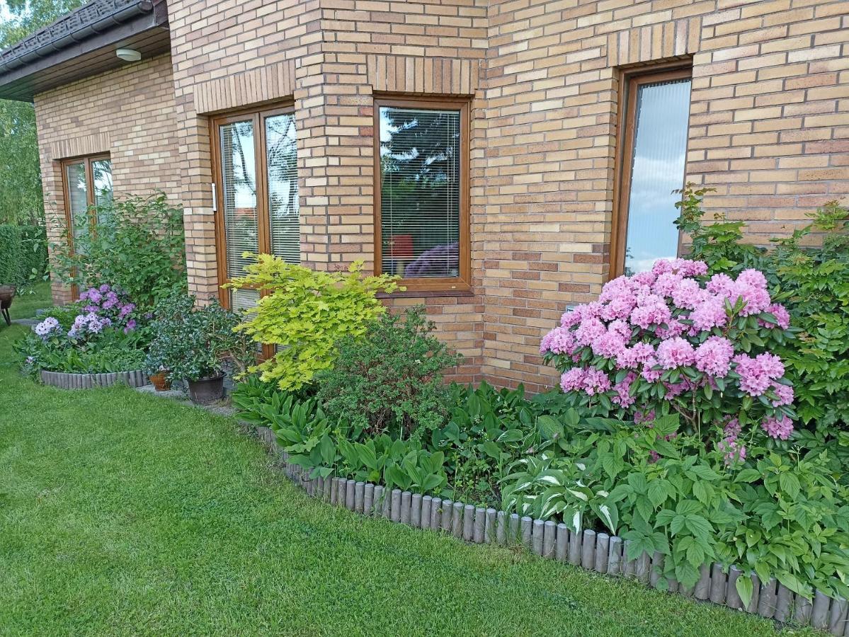 Ferienwohnung Dom Turysty Na Skarpie Malbork Exterior foto